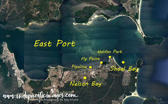 Nelson Bay Dive Site Map