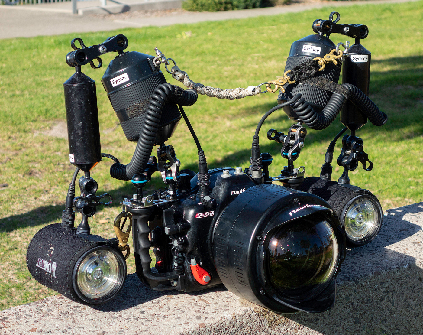 Ultimate Underwater Photography DSLR