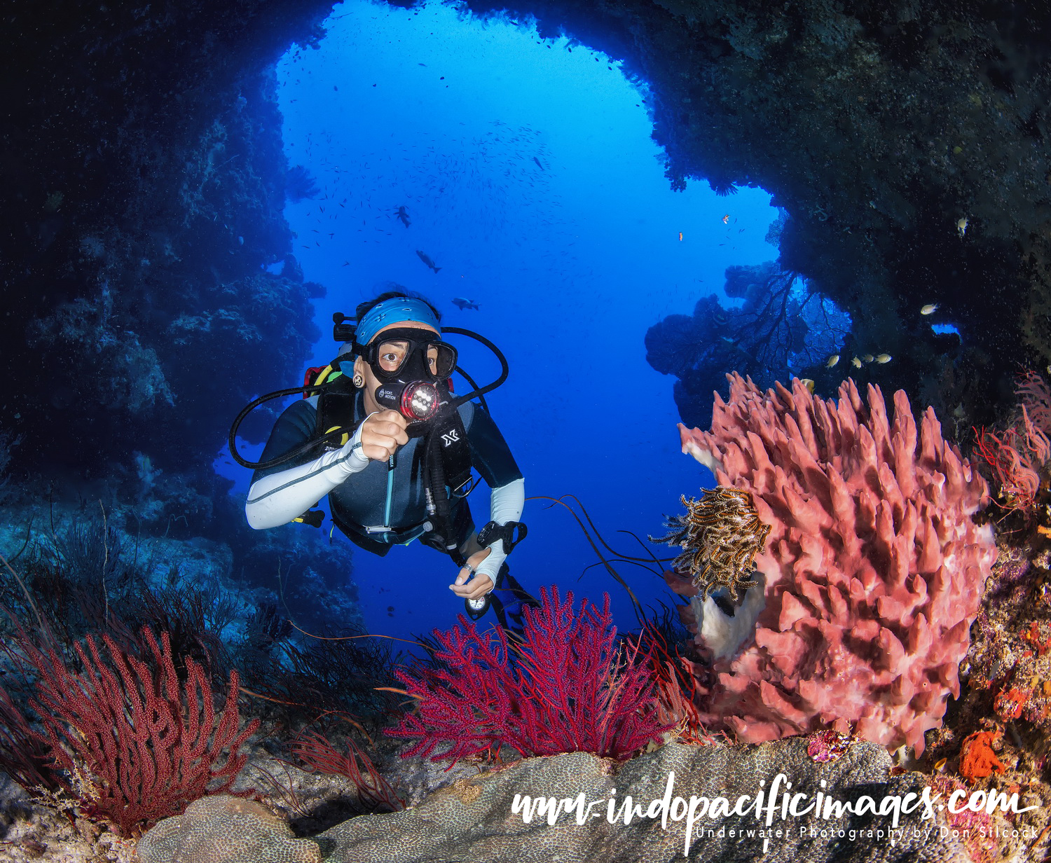 Witu Islands Diving 