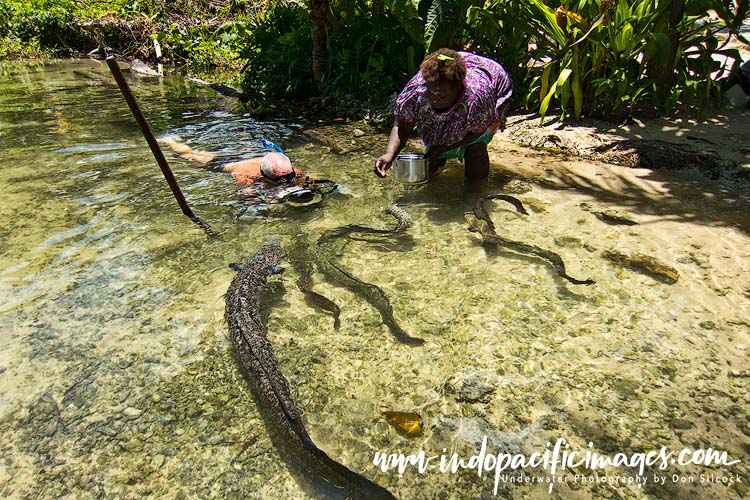 Diving Kavieng in PNG