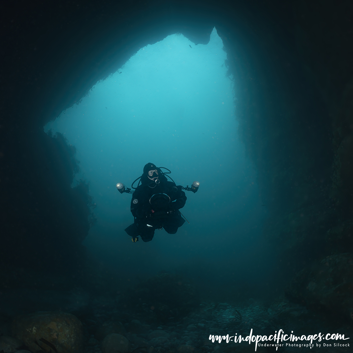 Diving Tasmania