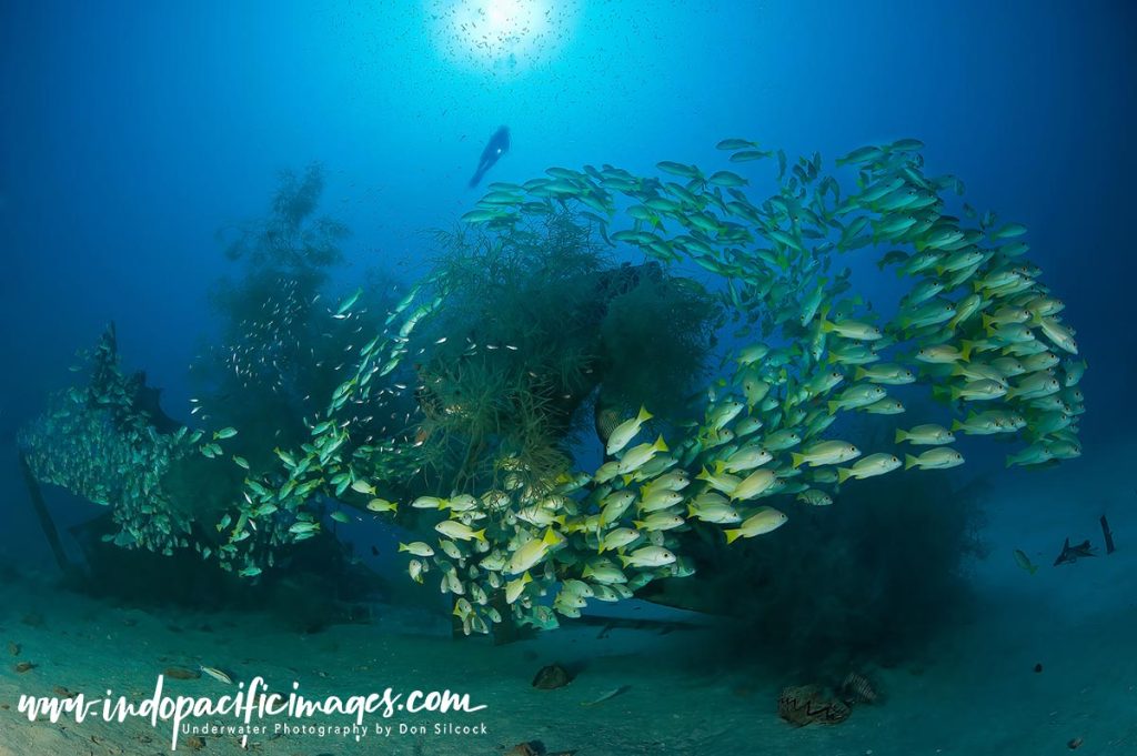 Best Aircraft Wreck Dives in PNG