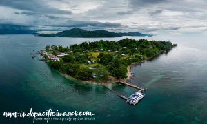 Ultimate Milne Bay Adventure