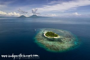 Diving Rabaul Wrecks Reefs and Jetties