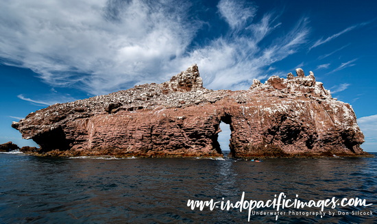 Diving Baja California