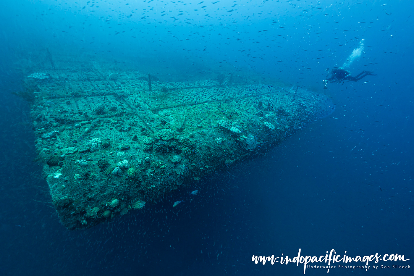 Diving Bikini Atoll