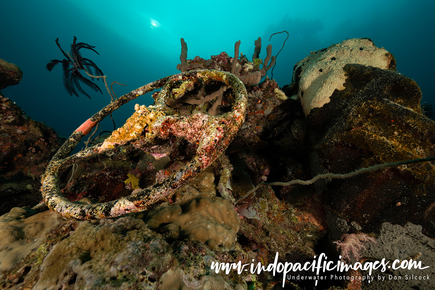 Diving the Solomon Islands WWII Wrecks