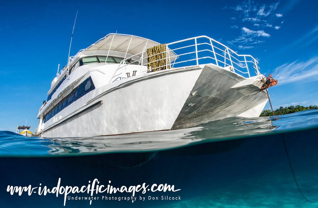 Milne Bay Diving