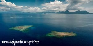 Kimbe Bay Diving