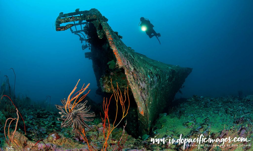 Der Yang Wreck