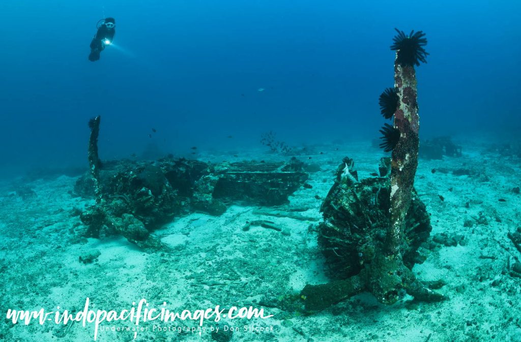 Catalina Wreck