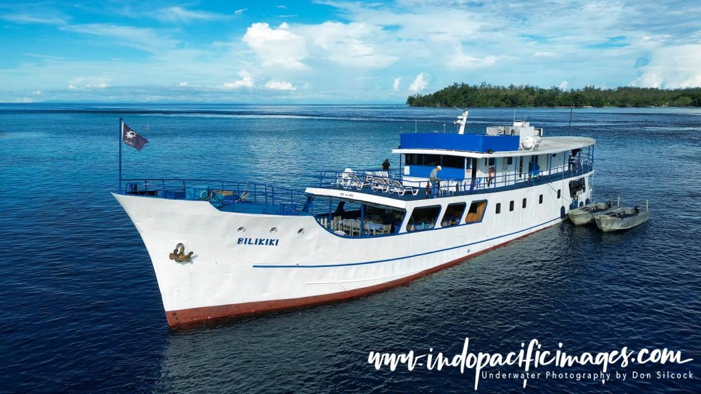 Where to Dive in the Solomons