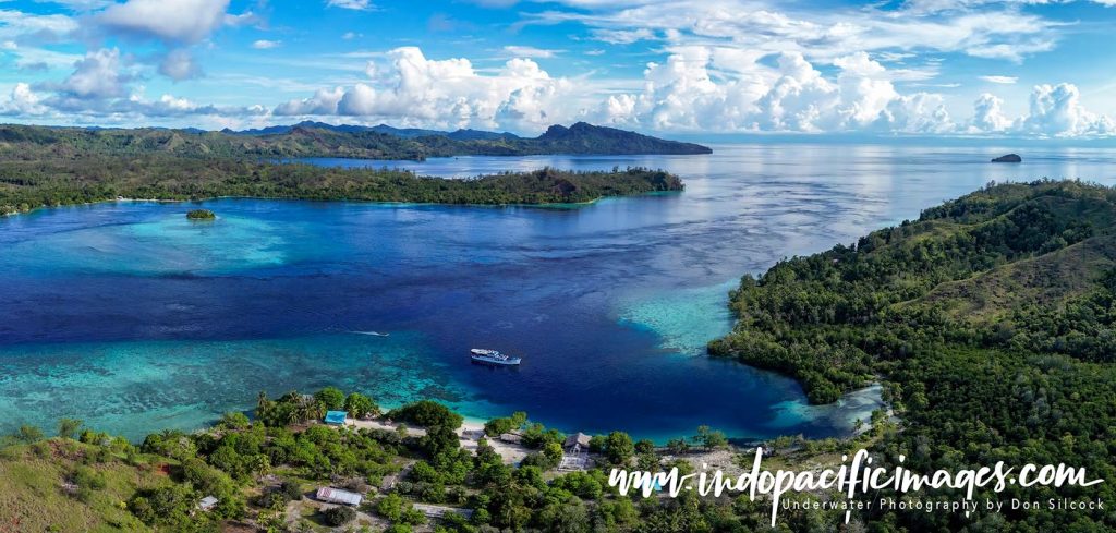Where to Dive in the Solomons