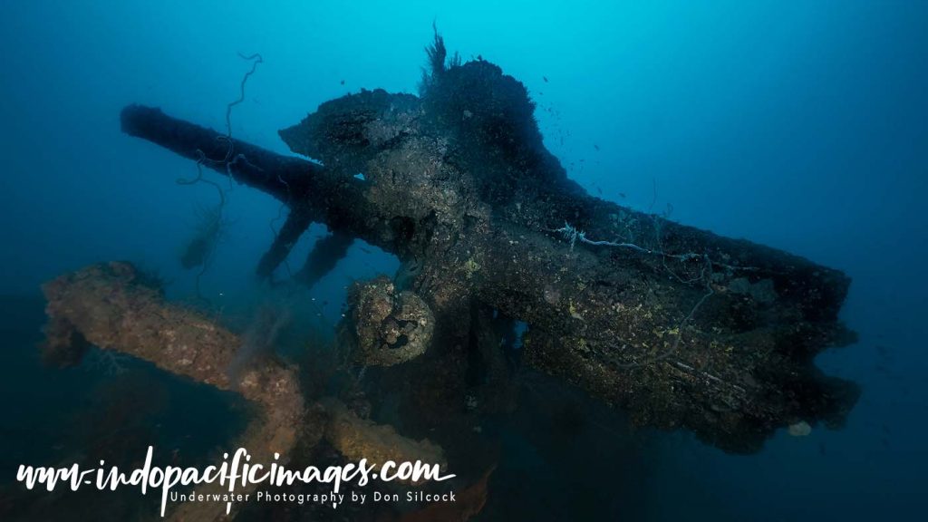 Where to Dive in the Solomons