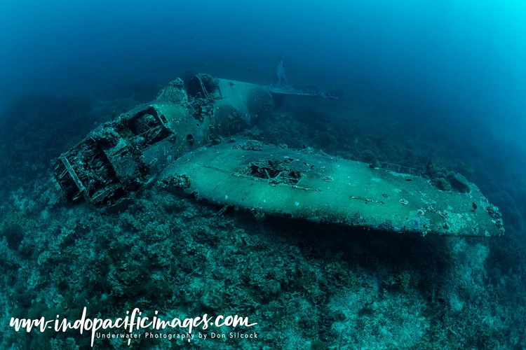 Where to dive in the Solomons
