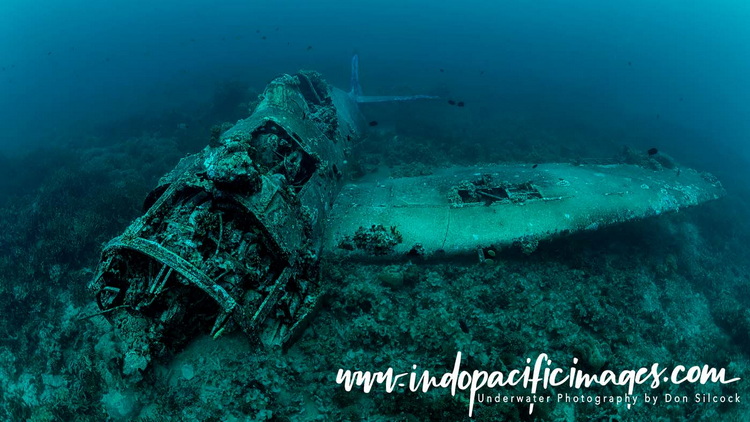 Where to dive in the Solomons