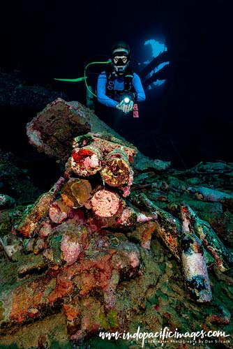 Where to dive in the Solomons