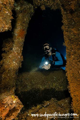 Where to dive in the Solomons