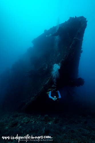 Where to dive in the Solomons