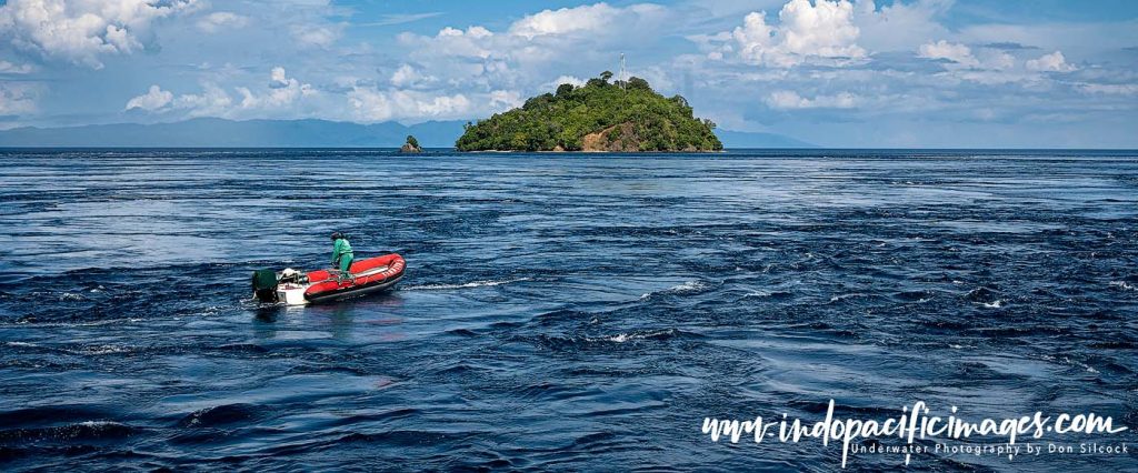 Indonesian Throughflow