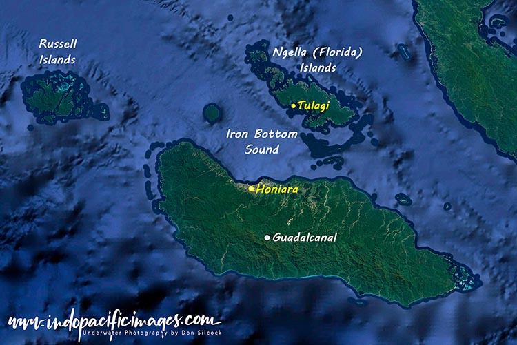 Where to Dive in the Solomons