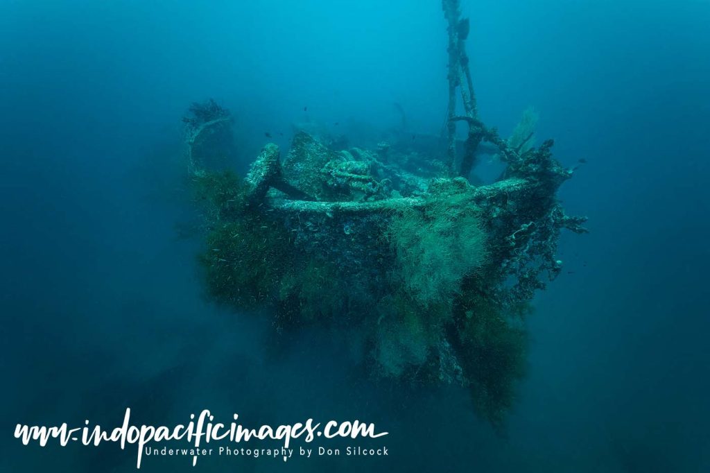 Where to dive in the Solomons