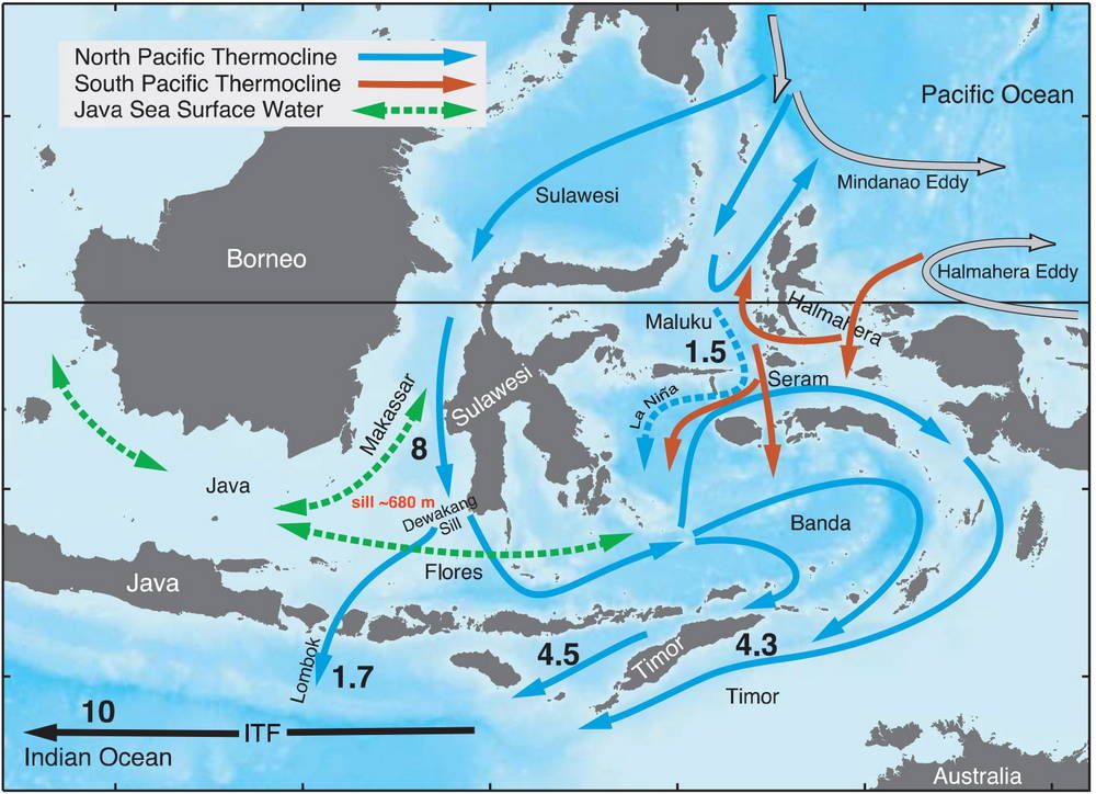 Indonesian Throughflow