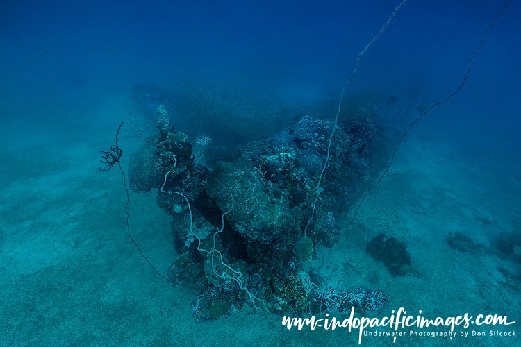 Diving Papatura