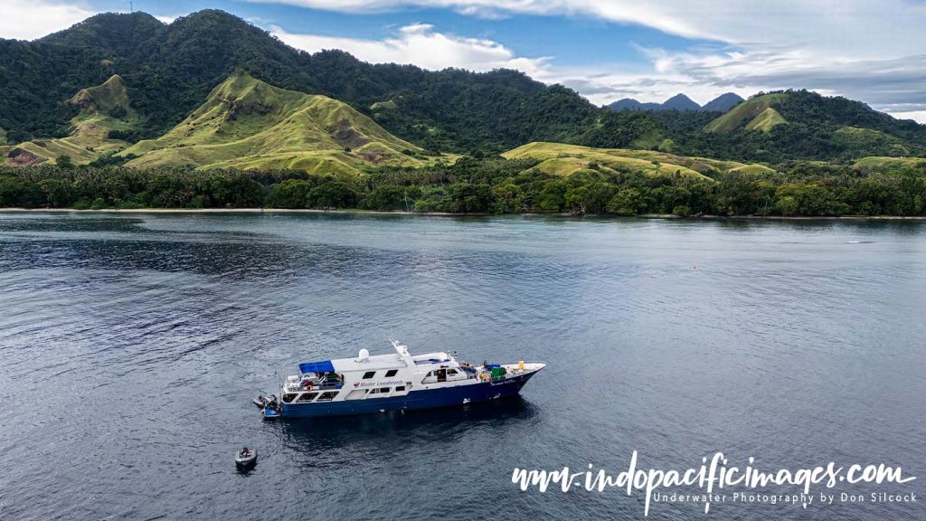 Where to Dive in the Solomons