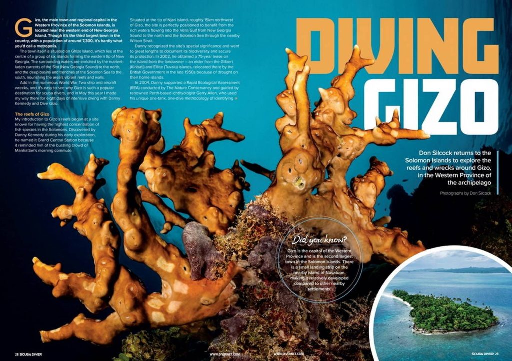 Diving Gizo