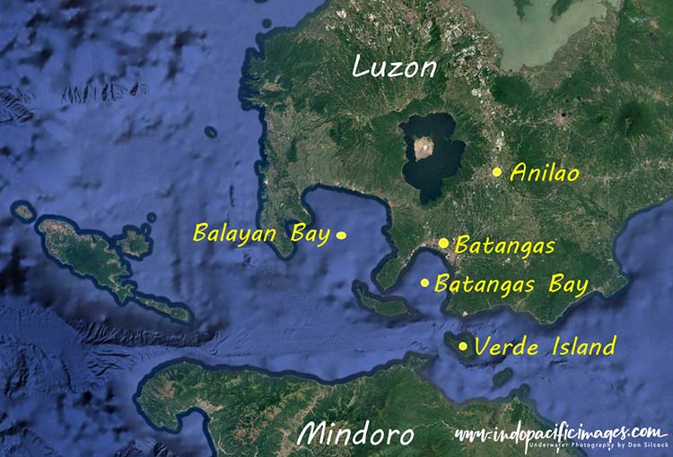 Anilao Blackwater Diving