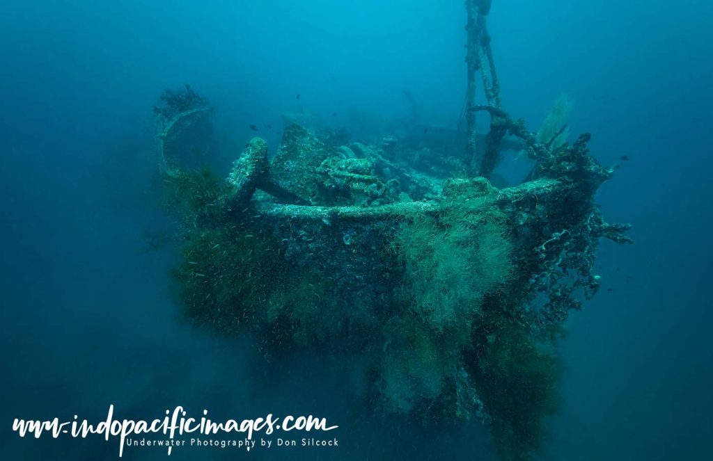 Diving the Solomon Islands on Bilikiki