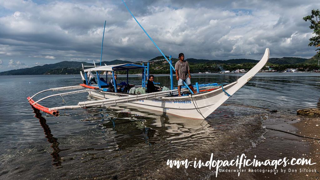 Anilao Blackwater Diving