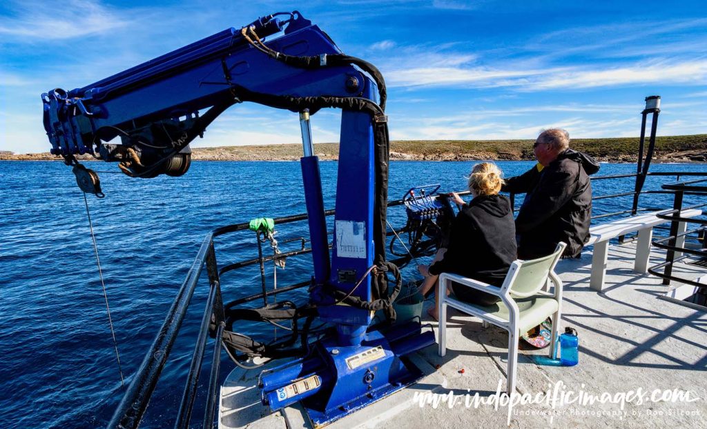 Ocean Floor Shark Cage Diving