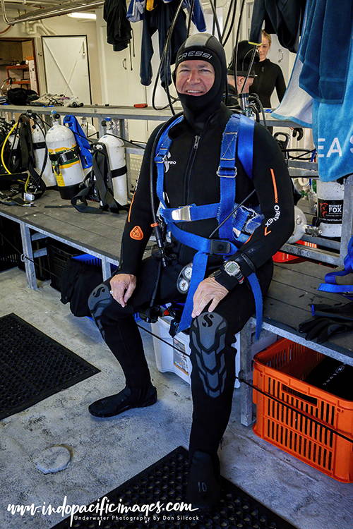 Great White Cage Diving Technique