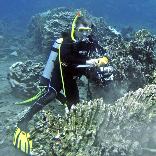 edi frommenwiler raja ampat