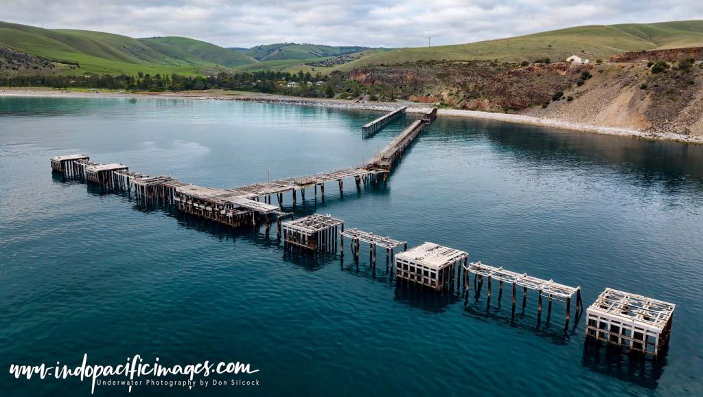Diving Rapid Bay Jetty