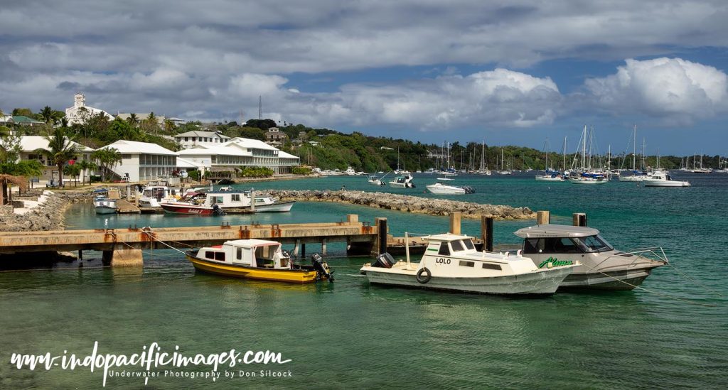 Vavu’a Whale Swimming Operators