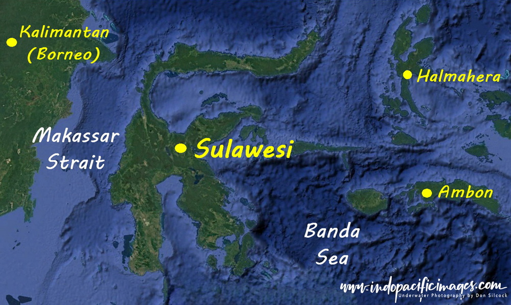 Understanding Sulawesi
