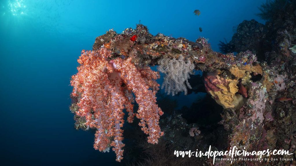 USAT Liberty Wreck
