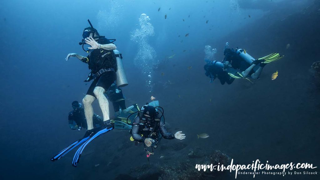 USAT Liberty Wreck