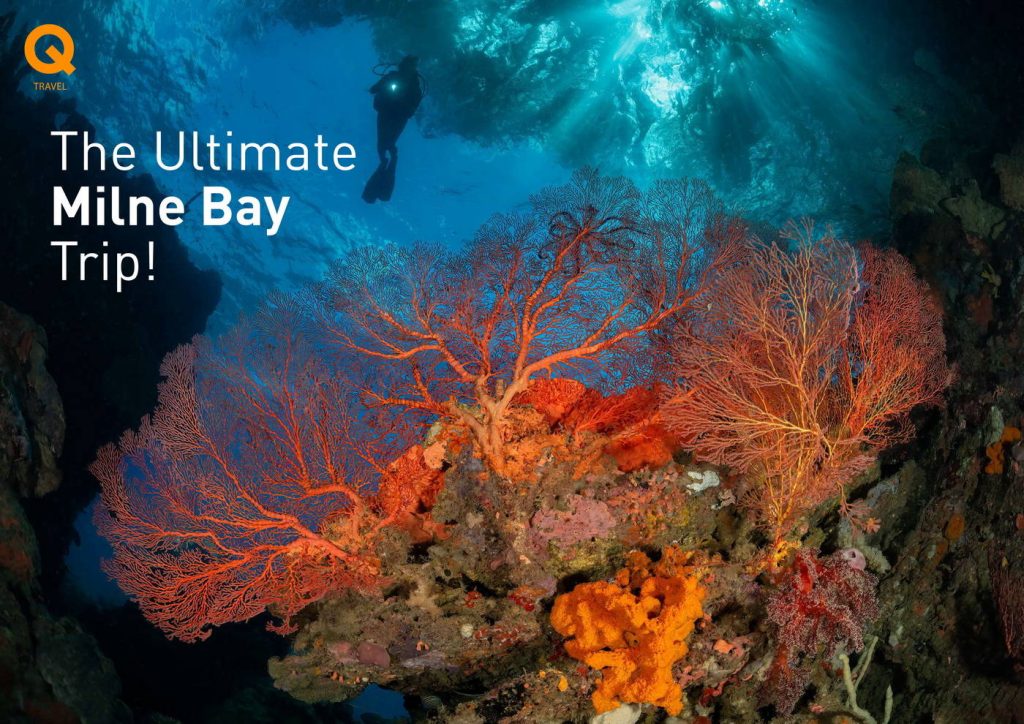 Best Milne Bay Diving
