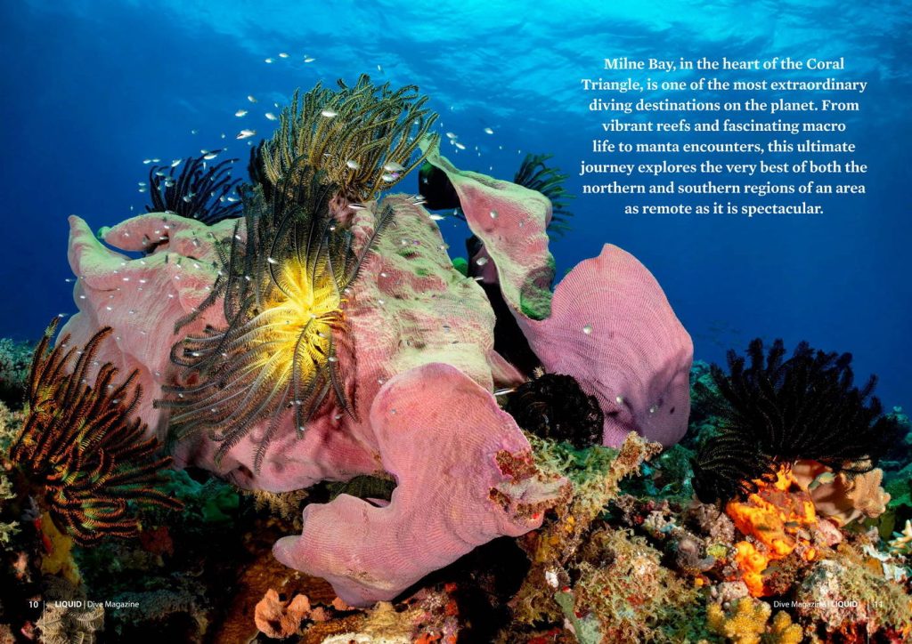 Best Milne Bay Diving
