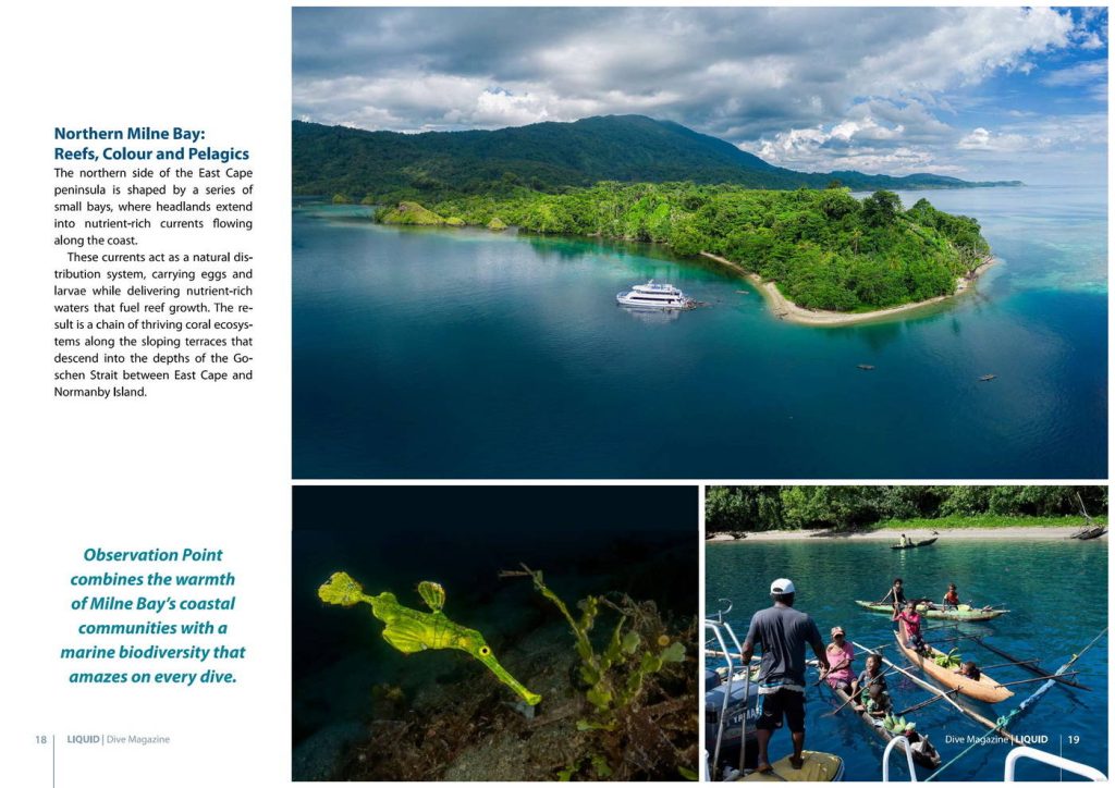 Best Milne Bay Diving