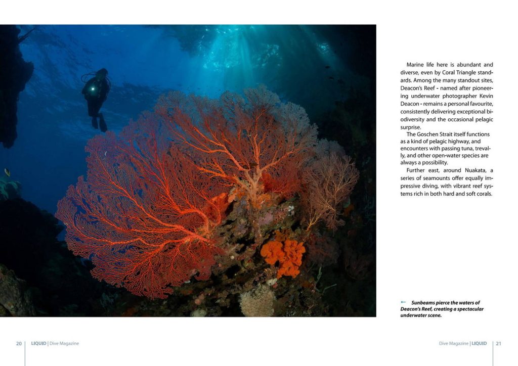 Best Milne Bay Diving