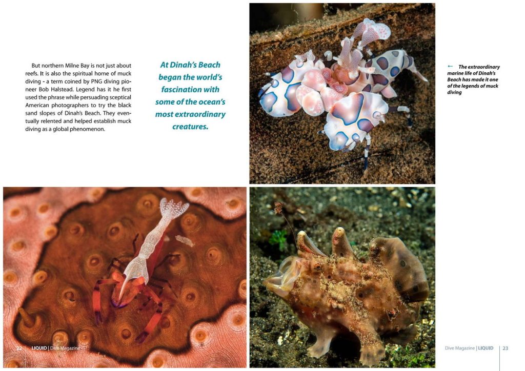 Best Milne Bay Diving