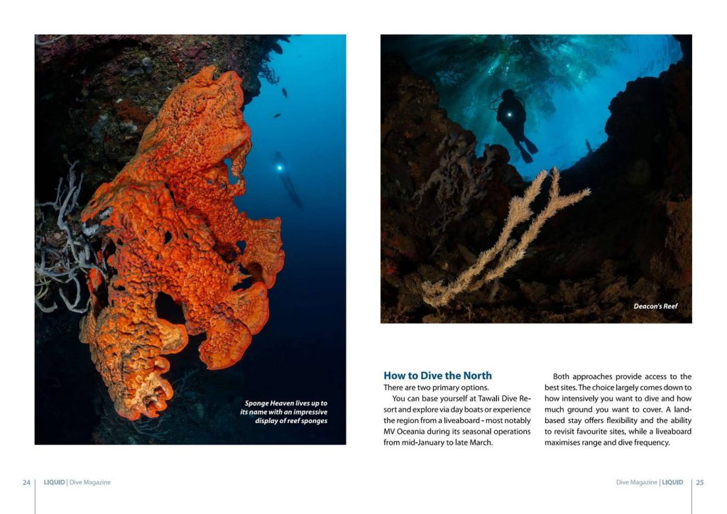 Best Milne Bay Diving